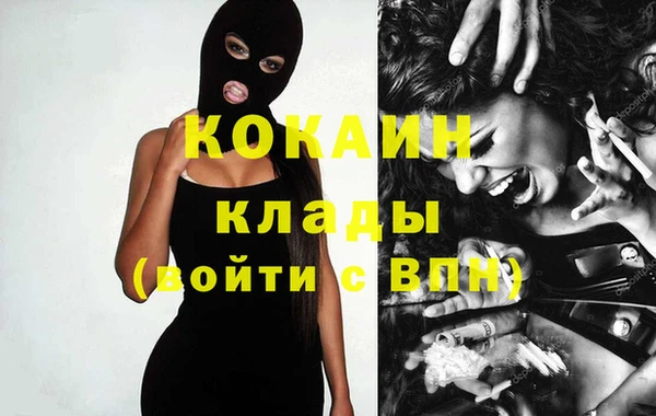 мяу мяу мука Аркадак