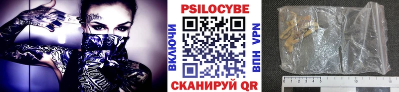 где найти Берёзовский Галлюциногенные грибы MAGIC MUSHROOMS